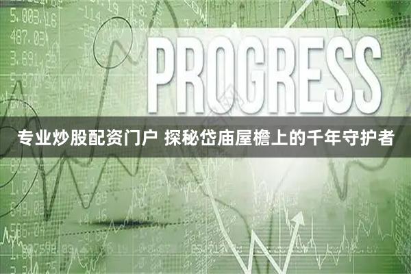 专业炒股配资门户 探秘岱庙屋檐上的千年守护者