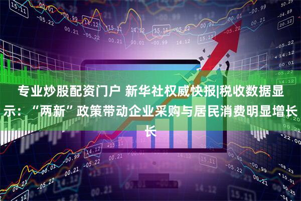 专业炒股配资门户 新华社权威快报|税收数据显示：“两新”政策带动企业采购与居民消费明显增长